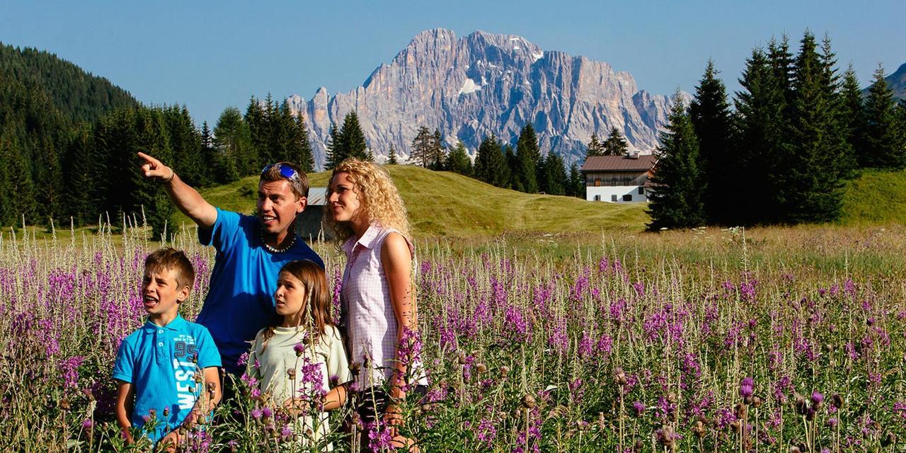 Casa Alpina Sacro Cuore Canale dʼAgordo Eksteriør billede
