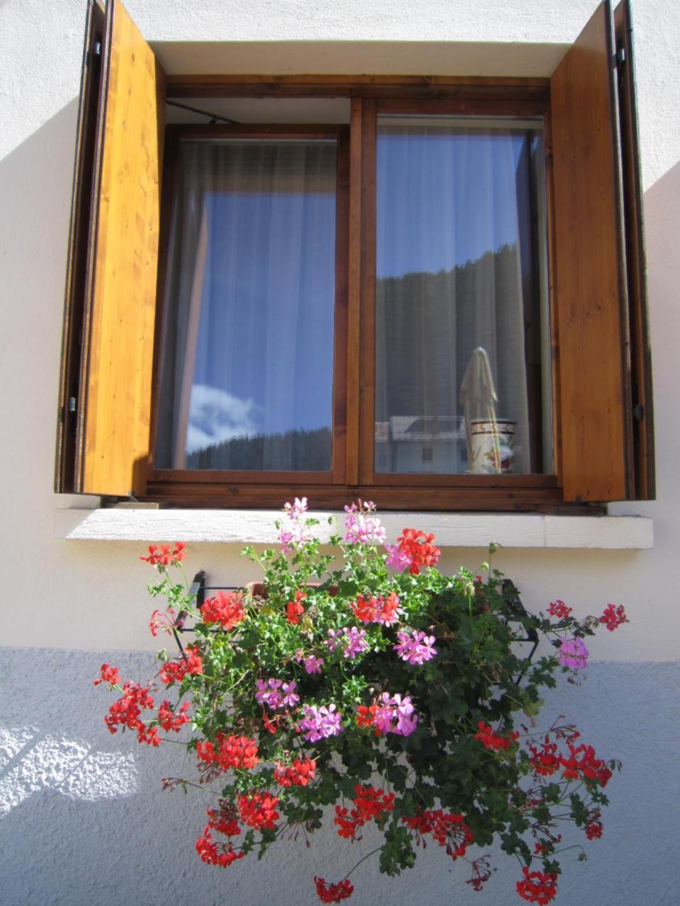 Casa Alpina Sacro Cuore Canale dʼAgordo Eksteriør billede